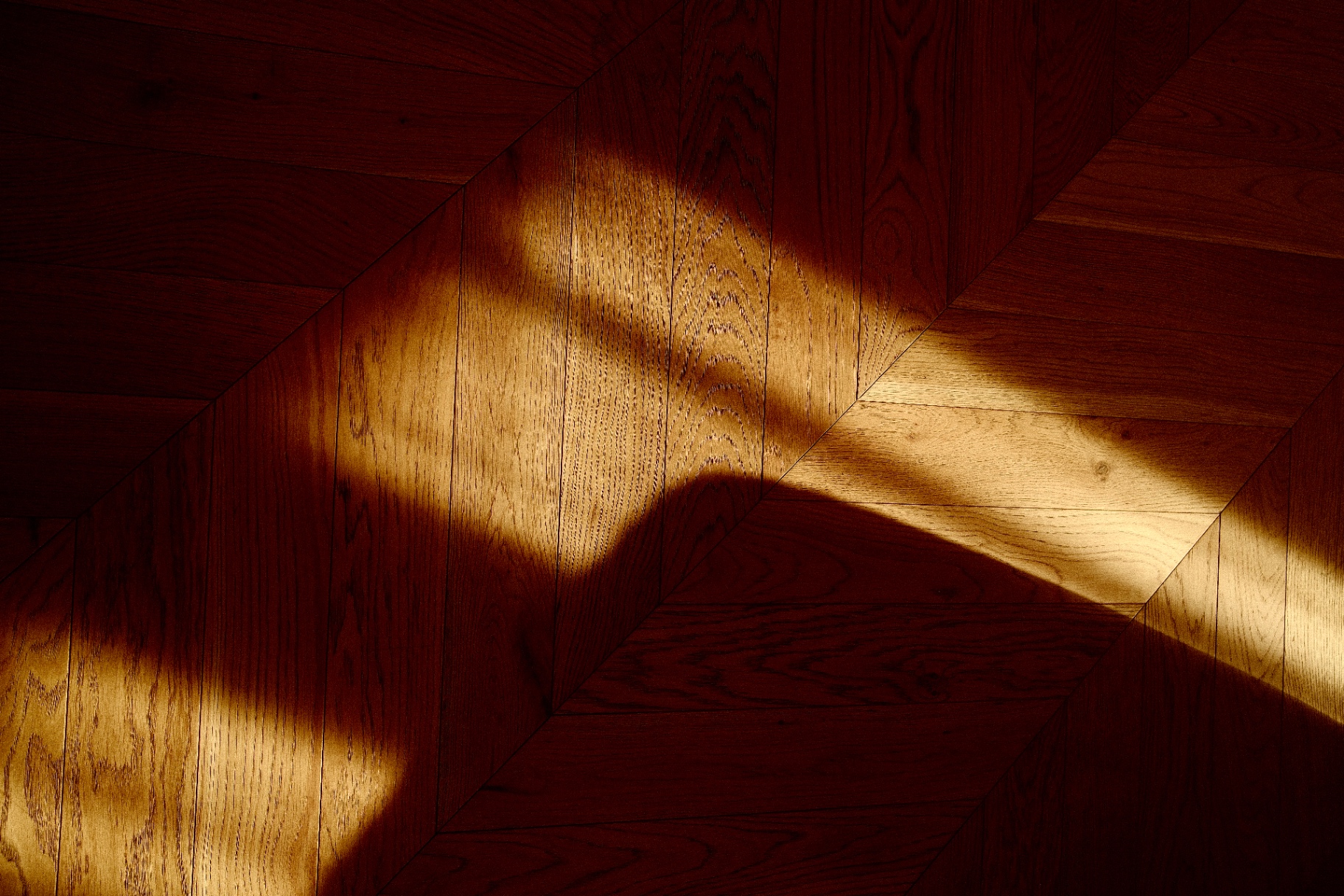 Sunlight across chevron parquet floor