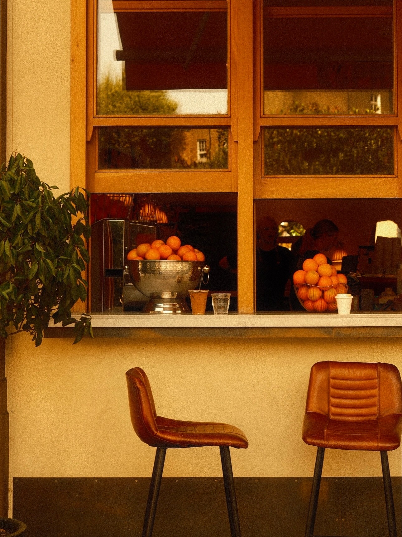 Two leather chairs beneath a juice bar window