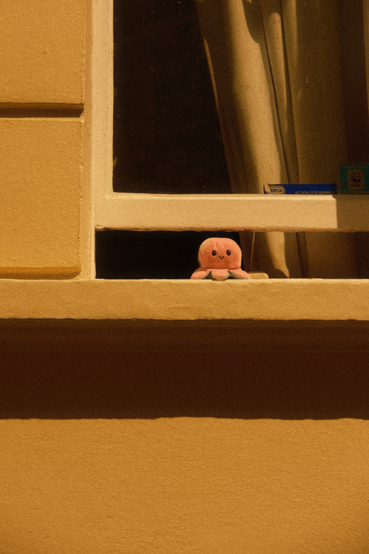 Small pink octopus plush peeking out of a window onto a sunlit yellow wall