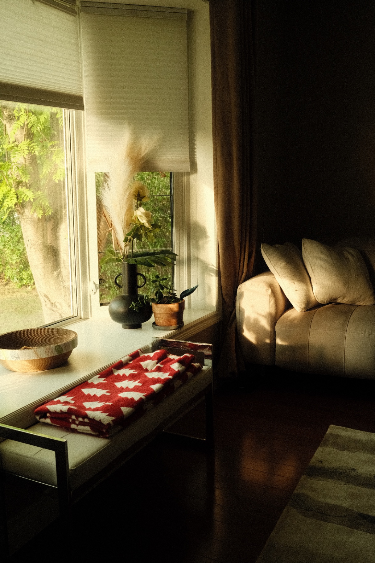 At home · Sunlit Vase